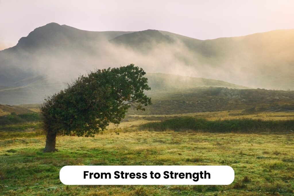 A single tree bent by wind in an open landscape, symbolizing resilience and strength through adversity. Text overlay reads “From Stress to Strength.”