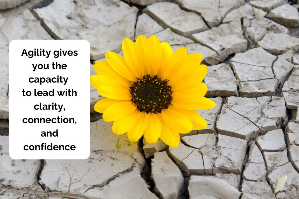 A sunflower blooming in cracked, dry earth, representing growth and leadership agility. Text reads “Agility gives you the capacity to lead with clarity, connection, and confidence.”